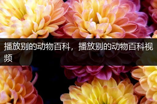 播放别的动物百科，播放别的动物百科视频