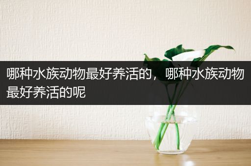 哪种水族动物最好养活的，哪种水族动物最好养活的呢