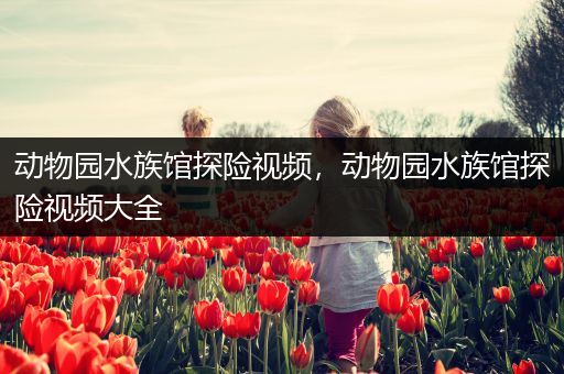 动物园水族馆探险视频，动物园水族馆探险视频大全