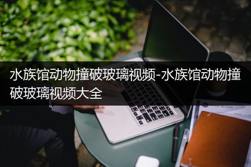 水族馆动物撞破玻璃视频-水族馆动物撞破玻璃视频大全