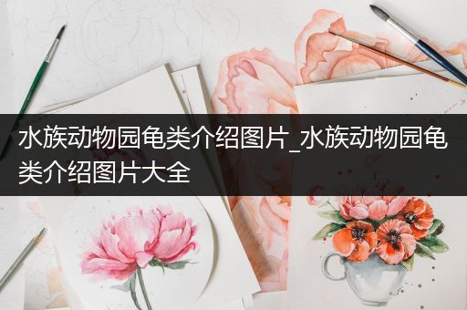 水族动物园龟类介绍图片_水族动物园龟类介绍图片大全