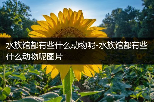 水族馆都有些什么动物呢-水族馆都有些什么动物呢图片