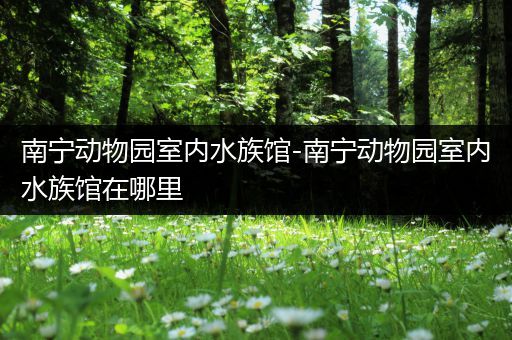 南宁动物园室内水族馆-南宁动物园室内水族馆在哪里