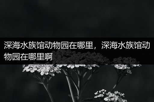 深海水族馆动物园在哪里，深海水族馆动物园在哪里啊