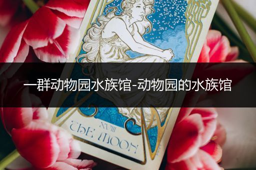 一群动物园水族馆-动物园的水族馆