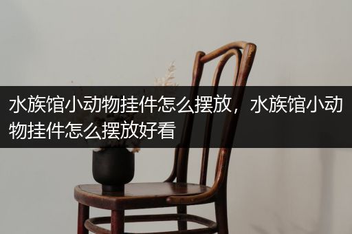 水族馆小动物挂件怎么摆放，水族馆小动物挂件怎么摆放好看