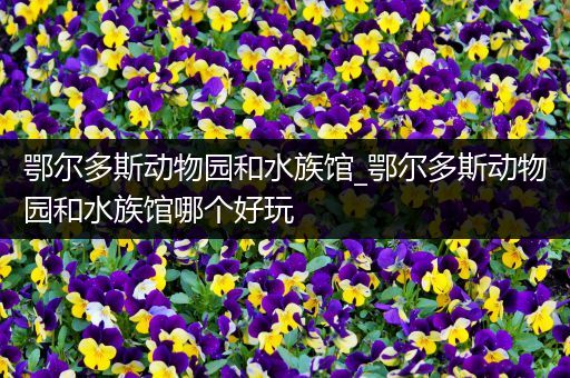 鄂尔多斯动物园和水族馆_鄂尔多斯动物园和水族馆哪个好玩