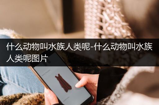 什么动物叫水族人类呢-什么动物叫水族人类呢图片