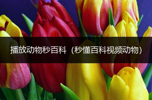 播放动物秒百科（秒懂百科视频动物）