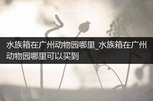 水族箱在广州动物园哪里_水族箱在广州动物园哪里可以买到