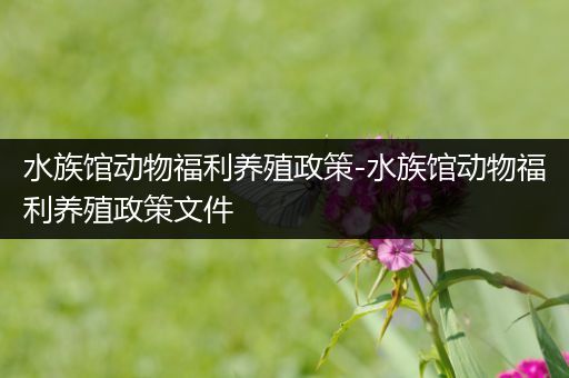 水族馆动物福利养殖政策-水族馆动物福利养殖政策文件