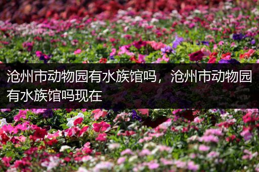 沧州市动物园有水族馆吗，沧州市动物园有水族馆吗现在