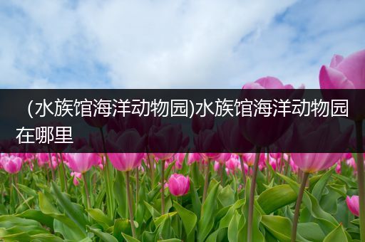 （水族馆海洋动物园)水族馆海洋动物园在哪里