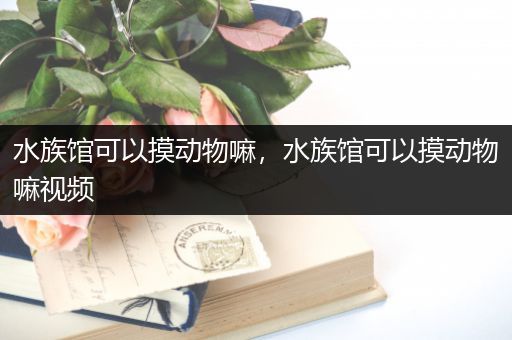 水族馆可以摸动物嘛，水族馆可以摸动物嘛视频