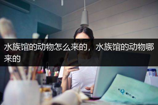 水族馆的动物怎么来的，水族馆的动物哪来的