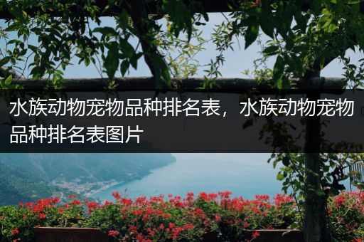 水族动物宠物品种排名表，水族动物宠物品种排名表图片