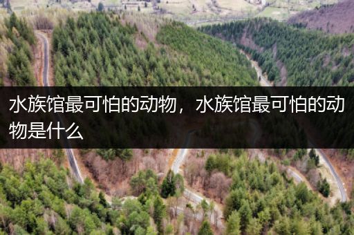 水族馆最可怕的动物，水族馆最可怕的动物是什么