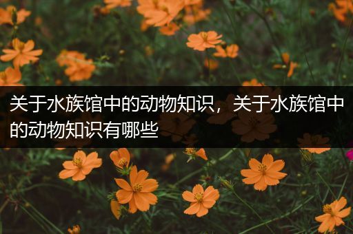 关于水族馆中的动物知识，关于水族馆中的动物知识有哪些