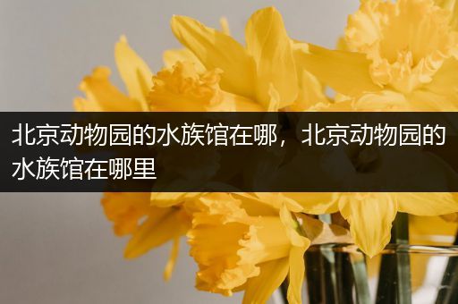 北京动物园的水族馆在哪，北京动物园的水族馆在哪里
