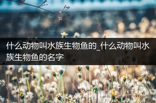 什么动物叫水族生物鱼的_什么动物叫水族生物鱼的名字