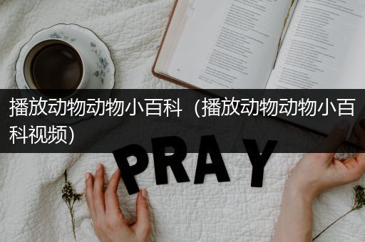 播放动物动物小百科（播放动物动物小百科视频）