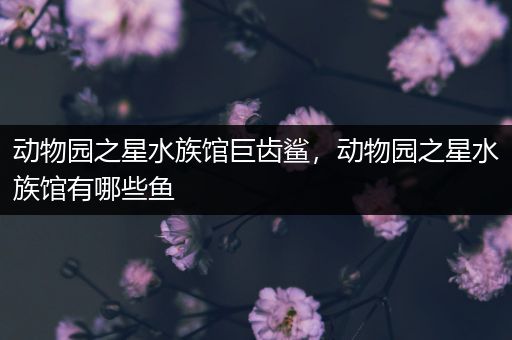 动物园之星水族馆巨齿鲨，动物园之星水族馆有哪些鱼