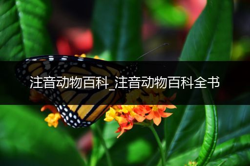 注音动物百科_注音动物百科全书