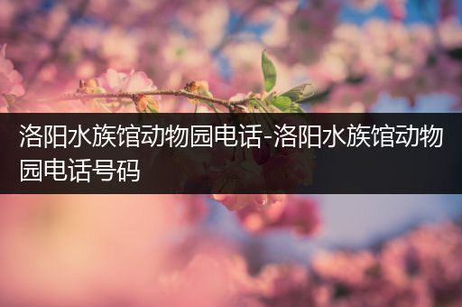 洛阳水族馆动物园电话-洛阳水族馆动物园电话号码