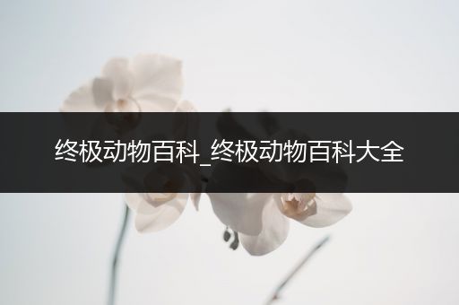 终极动物百科_终极动物百科大全