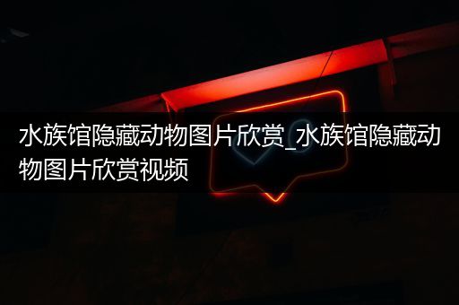 水族馆隐藏动物图片欣赏_水族馆隐藏动物图片欣赏视频