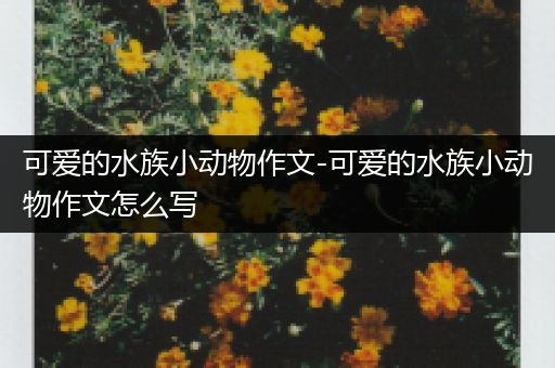 可爱的水族小动物作文-可爱的水族小动物作文怎么写
