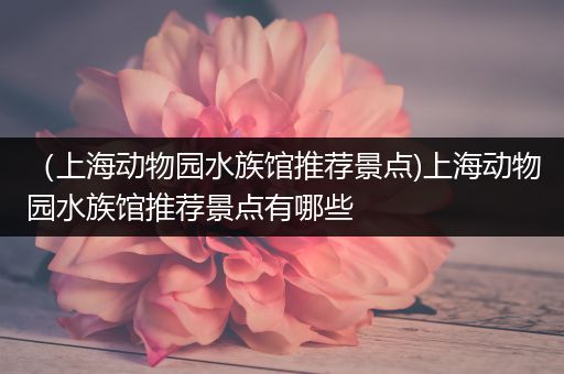 （上海动物园水族馆推荐景点)上海动物园水族馆推荐景点有哪些