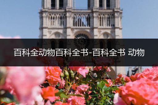 百科全动物百科全书-百科全书 动物