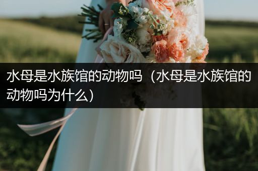 水母是水族馆的动物吗（水母是水族馆的动物吗为什么）