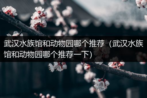 武汉水族馆和动物园哪个推荐（武汉水族馆和动物园哪个推荐一下）