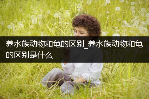 养水族动物和龟的区别_养水族动物和龟的区别是什么