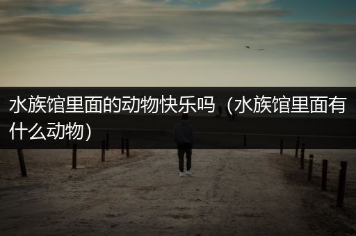 水族馆里面的动物快乐吗（水族馆里面有什么动物）
