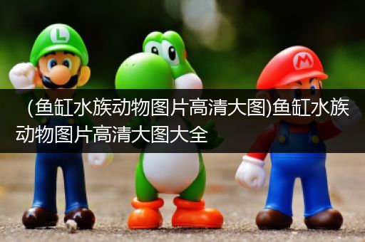 （鱼缸水族动物图片高清大图)鱼缸水族动物图片高清大图大全