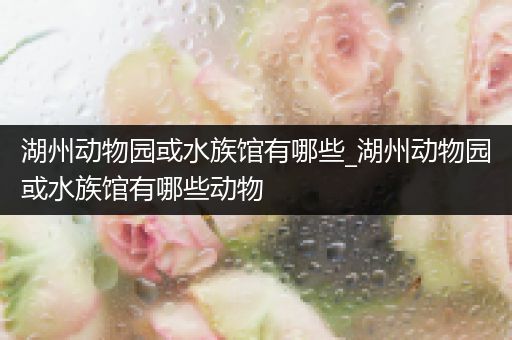 湖州动物园或水族馆有哪些_湖州动物园或水族馆有哪些动物