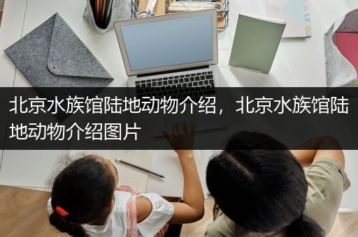 北京水族馆陆地动物介绍，北京水族馆陆地动物介绍图片