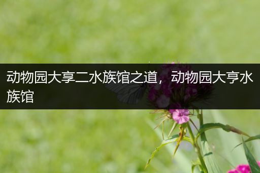 动物园大享二水族馆之道，动物园大亨水族馆