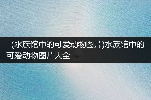 （水族馆中的可爱动物图片)水族馆中的可爱动物图片大全