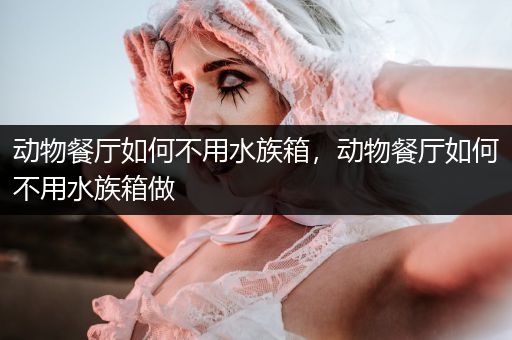 动物餐厅如何不用水族箱，动物餐厅如何不用水族箱做