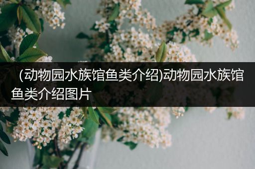 （动物园水族馆鱼类介绍)动物园水族馆鱼类介绍图片