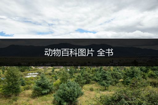 动物百科图片 全书