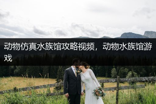 动物仿真水族馆攻略视频，动物水族馆游戏