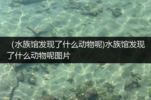 （水族馆发现了什么动物呢)水族馆发现了什么动物呢图片