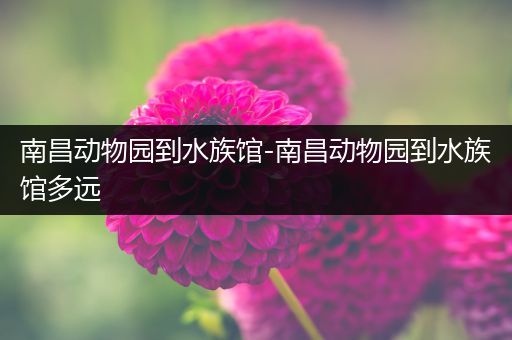 南昌动物园到水族馆-南昌动物园到水族馆多远
