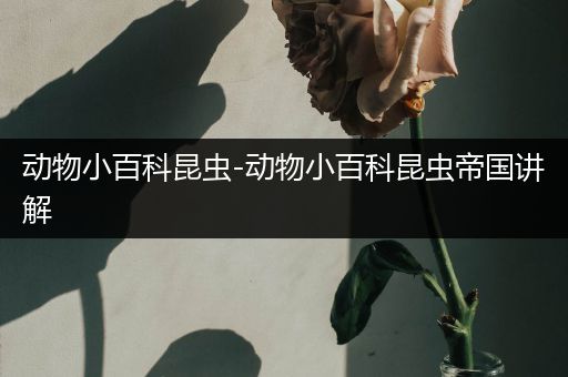动物小百科昆虫-动物小百科昆虫帝国讲解