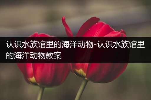 认识水族馆里的海洋动物-认识水族馆里的海洋动物教案